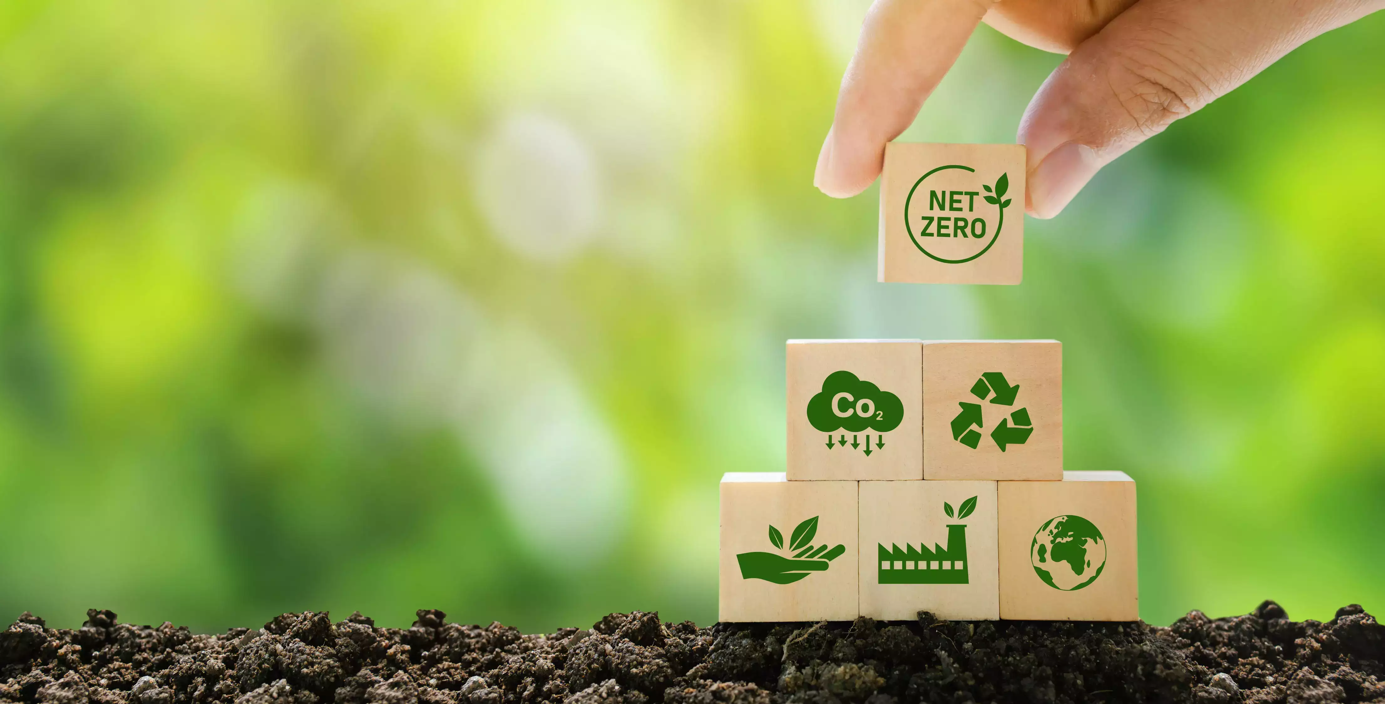 Eco-Friendly Business Practices: The Shift Away from Harmful Chemicals